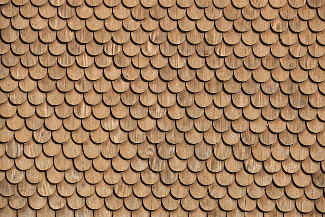 5 Types of Roof Shingles to Consider for Your Home